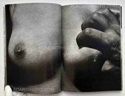 Yasuhiro Yoshioka ,The garden of Sodom