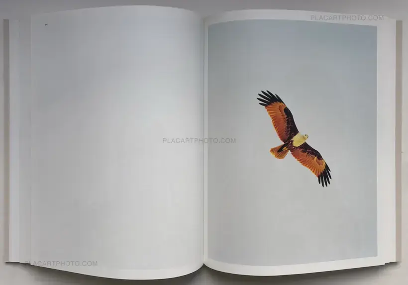 Vasantha Yogananthan – Dandaka (SIGNED)