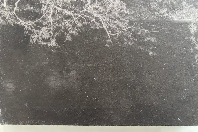 Gabriela García Rivas – Hay Pàjaros en el Alembre