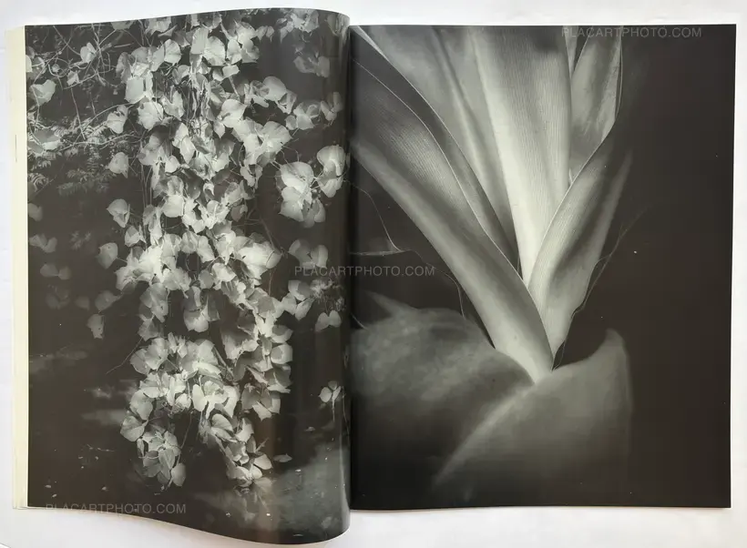 Various photographers – Hysteric: Untitled no.5 (1)
