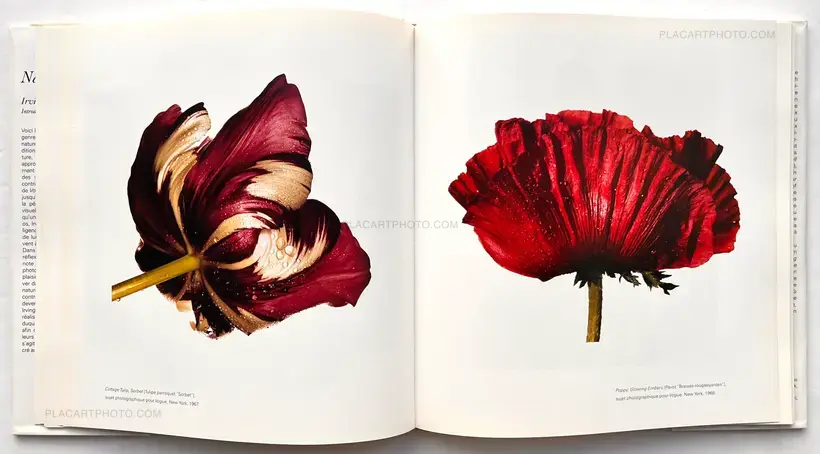 Irving Penn – NATURES MORTES