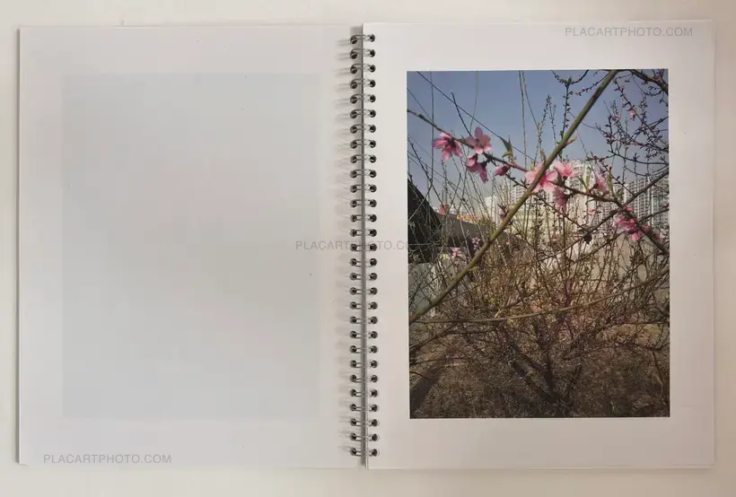 Brigitte Bauer – Seoul Flowers and Trees (EDT OF 100 SIGNED)