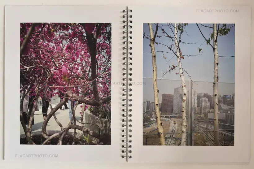 Brigitte Bauer – Seoul Flowers and Trees (EDT OF 100 SIGNED)