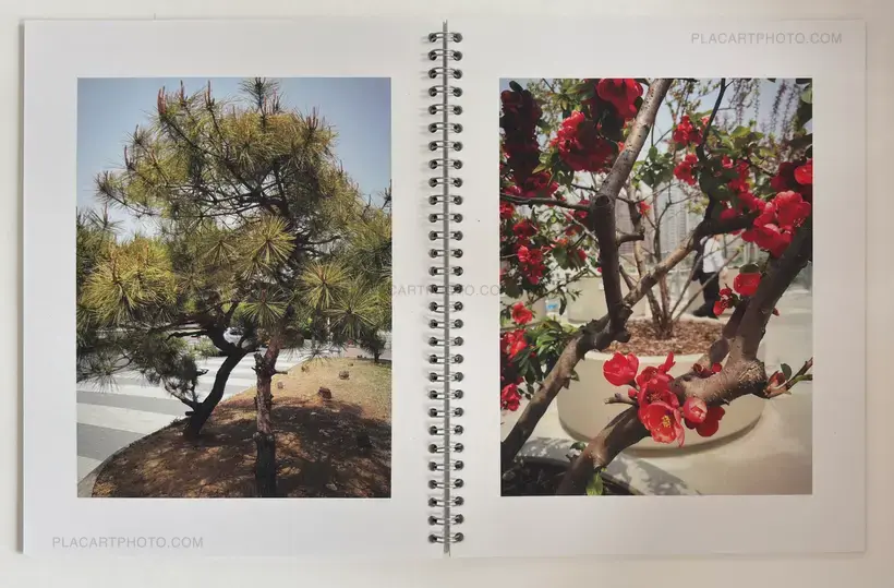 Brigitte Bauer – Seoul Flowers and Trees (EDT OF 100 SIGNED)