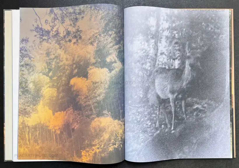 Martin Bogren – Kodo (SIGNED WITH PRINT)