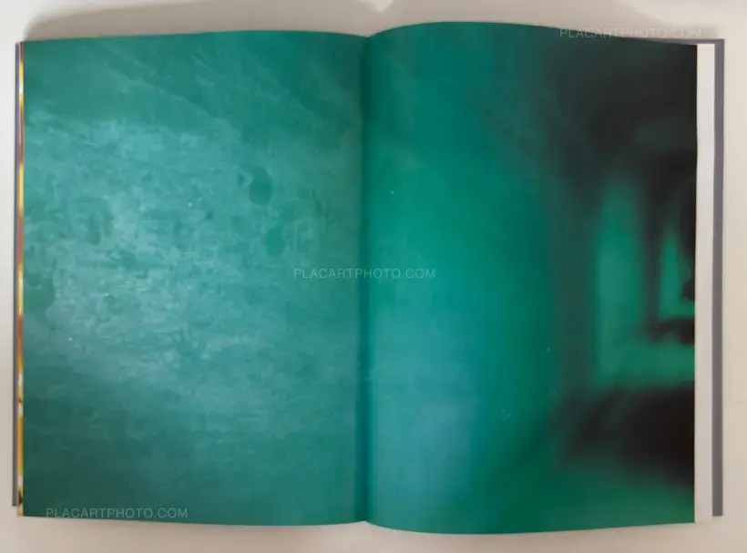 Nan Goldin – Couples and Loneliness