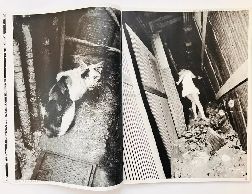 Daido Moriyama – Daido Moriyama