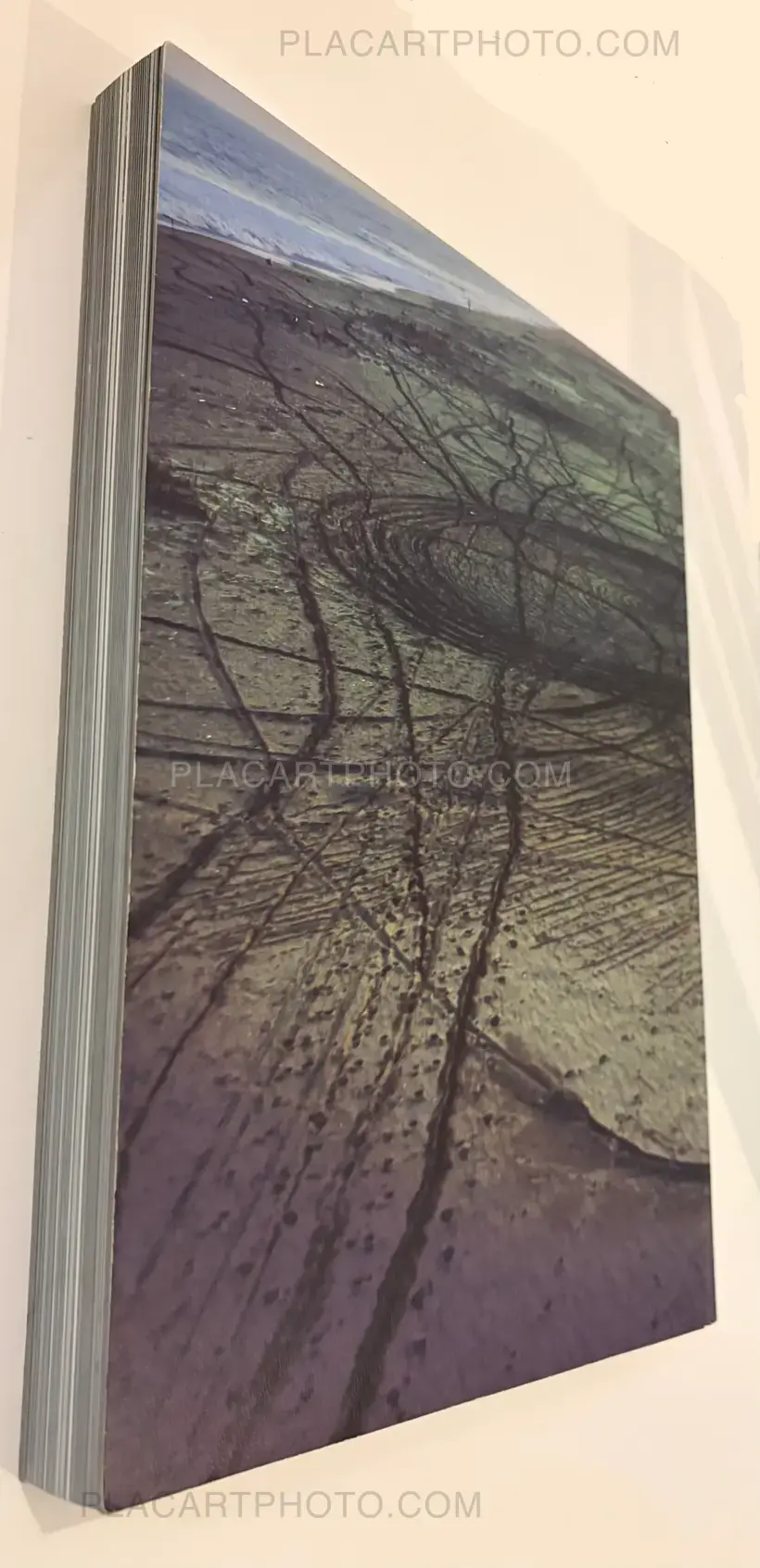 Lieko Shiga – Rasen Kaigan